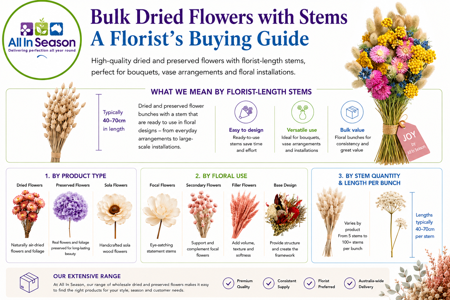 Bulk Dried Flowers with stems - A florists Buyers Guide by All Inseason Australia