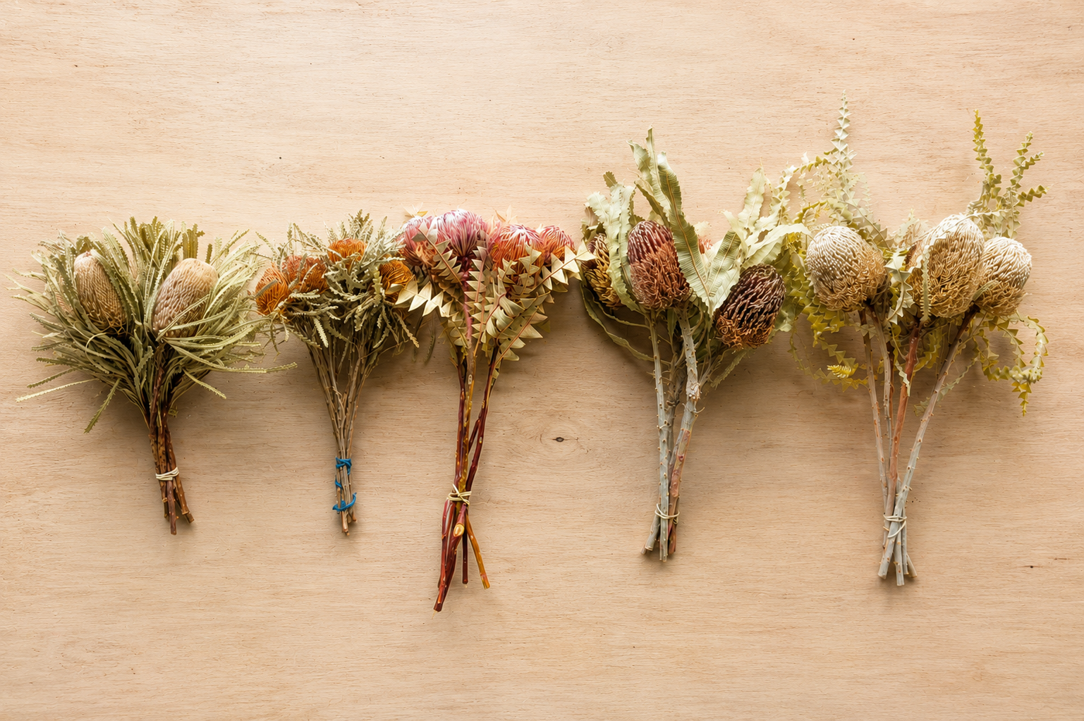 Dried Australian Native Flowers with Stems banksia hookeriana formosa baxteri menziesie and speciosa by All Inseason Australia