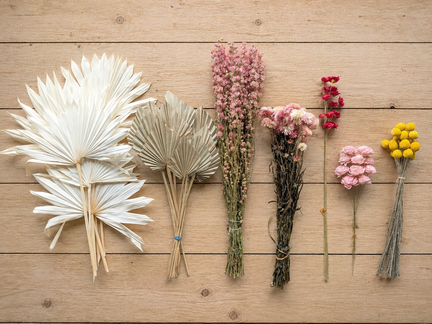 Dried secondary flowers with stem image Palm Suns Palm Spear Delphinium, Strawflower and solaflowers by All Inseason Australia