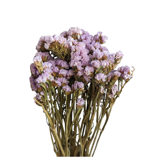 A floral bunch of Dried Statice Sinuata Lavender | Also known as Limonium