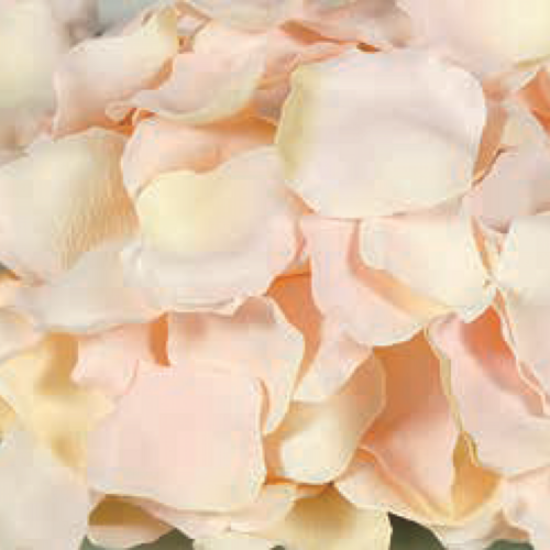 Buy Dried Flower Wholesale Artificial Rose Petals, 250 per bag, Blush Pink - by All In Season