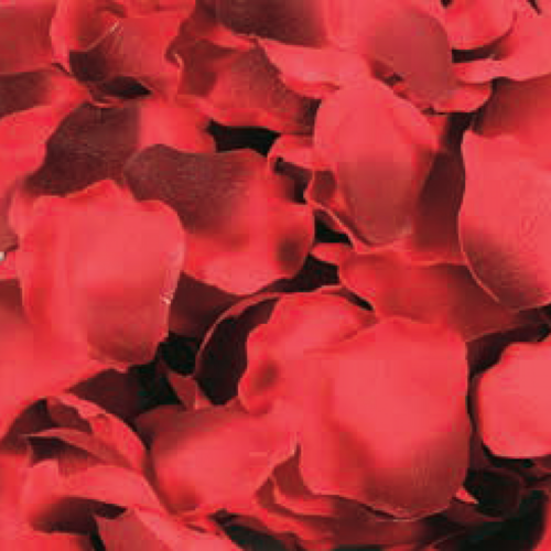 A bag of Artificial Rose Patals Red