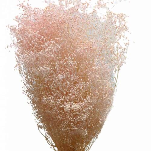 A floral bunch of Preserved Mini Baby Breath Pink Flowers | Also knows as Gypsophila