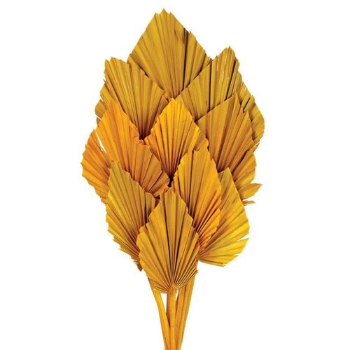 A floral bunch of Dried Palm Spears Mustard