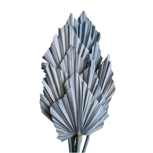 A floral bunch of Dried Palm Spears Grey Blue