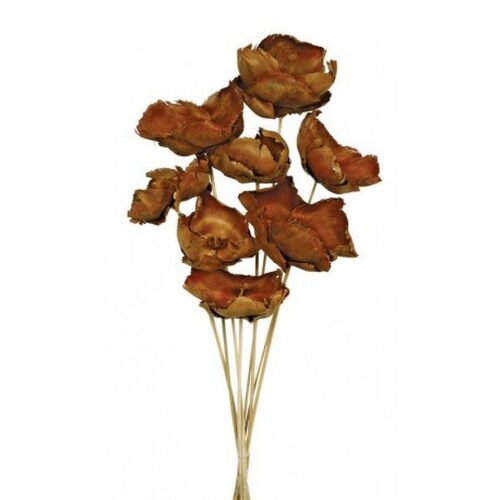 Buy Dried Flower Wholesale Dried Palm Cap, 40cm , 8-10cm, 8 pcs, Natural - by All In Season