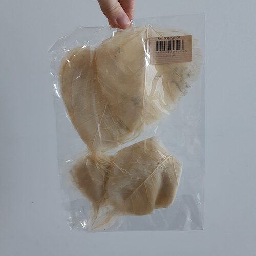 Buy Dried Flower Wholesale Skeleton Leaf, diameter Approx. 10 cm, 200 per bag, Creamy White - by All In Season