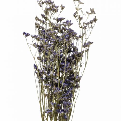 A floral bunch of Preserved Limonium Purple Flowers | Also knows as Statice