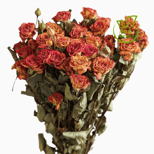 Dried Spray Roses, 10 stems, 50cm, Natural Orange everlasting flowers for all occasions.
