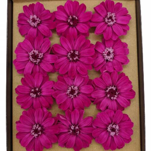A floral box of Preserved Zinnia Pink Ruby Flowers