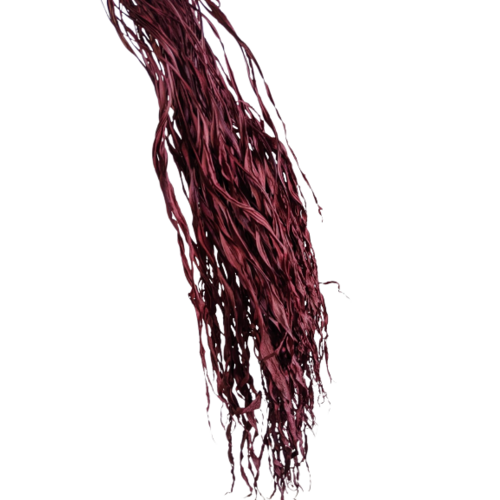 Buy Dried Flower Wholesale Anao Palm, 60-70cm, Bordeaux - by All In Season