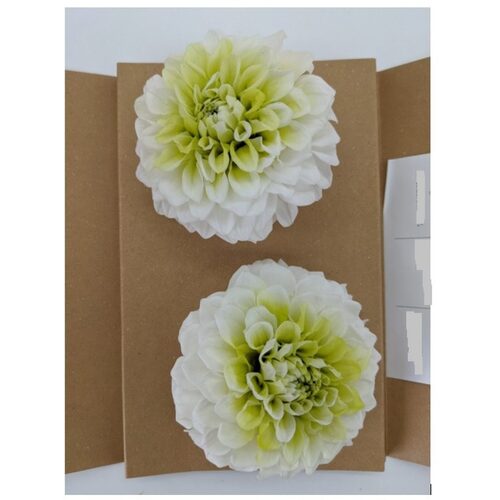 A floral box of Preserved Dahlia White Green Flowers