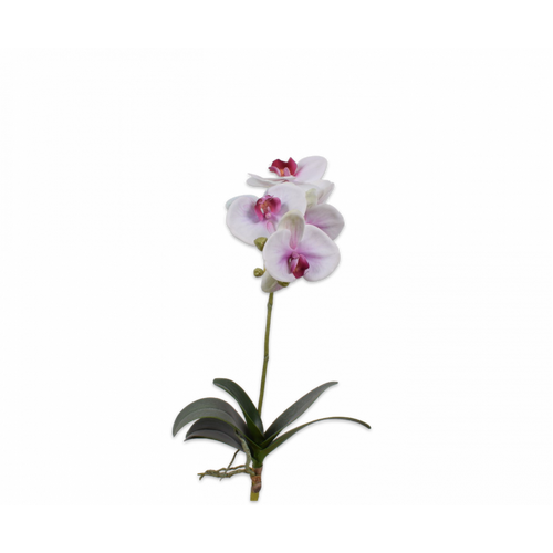 Buy Silk Phalaenopsis with leaf pink 60cm wholesale at All InSeason. Same day pack-out on weekdays, Australia wide delivery, hundreds of 5 star reviews