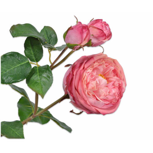 Buy Silk REAL TOUCH Garden Rose Pink 55cm wholesale at All InSeason. Same day pack-out on weekdays, Australia wide delivery, hundreds of 5 star reviews