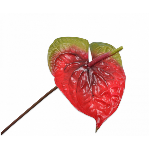 Buy Silk Anthurium Red Geen 70cm wholesale at All InSeason. Same day pack-out on weekdays, Australia wide delivery, hundreds of 5 star reviews