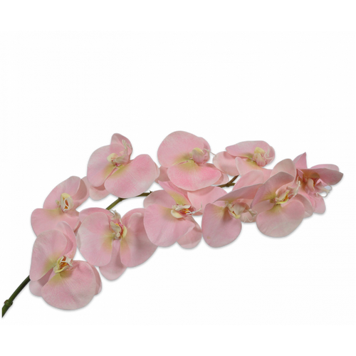 Buy Silk Phalaenopsis spray pink 95cm wholesale at All InSeason. Same day pack-out on weekdays, Australia wide delivery, hundreds of 5 star reviews