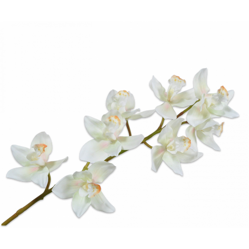 Buy Silk Cymbidium cream 85cm wholesale at All InSeason. Same day pack-out on weekdays, Australia wide delivery, hundreds of 5 star reviews