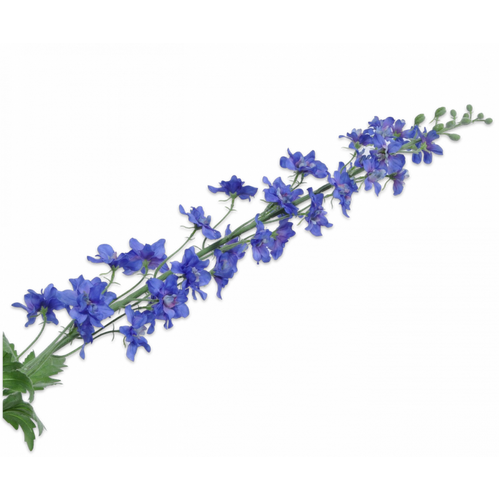 Buy Silk Delphinium Spray Blue 115cm wholesale at All InSeason. Same day pack-out on weekdays, Australia wide delivery, hundreds of 5 star reviews