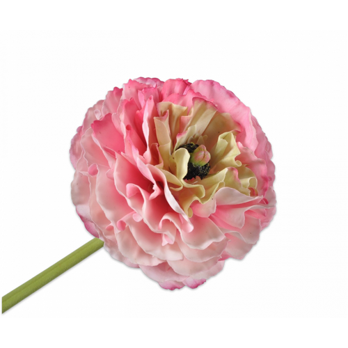 Buy Silk REAL TOUCH Ranunculus Stem Pink 55cm wholesale at All InSeason. Same day pack-out on weekdays, Australia wide delivery, hundreds of 5 star reviews