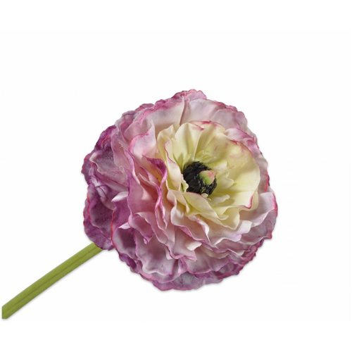 Buy Silk REAL TOUCH Ranunculus Stem Bicolour Pink 55cm wholesale at All InSeason. Same day pack-out on weekdays, Australia wide delivery, hundreds of 5 star reviews