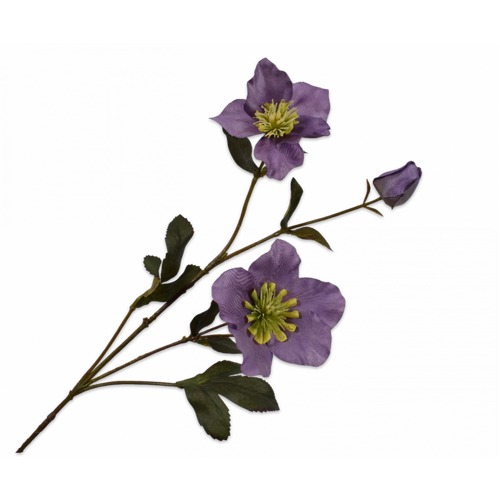 Buy Silk Helleborus Stem Mauve 70cm wholesale at All InSeason. Same day pack-out on weekdays, Australia wide delivery, hundreds of 5 star reviews