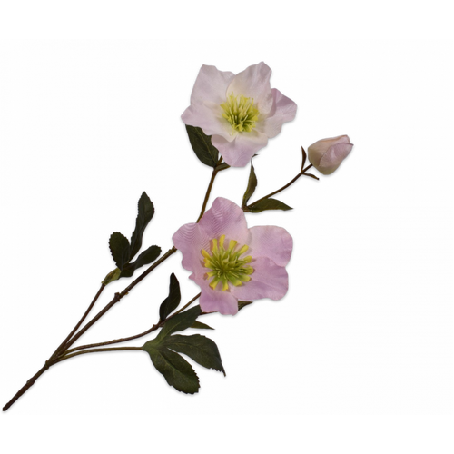 Buy Silk Helleborus Stem Pink 70cm wholesale at All InSeason. Same day pack-out on weekdays, Australia wide delivery, hundreds of 5 star reviews