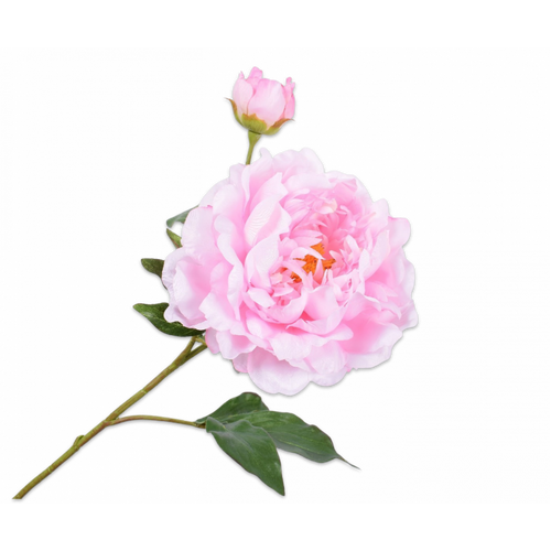 Buy Silk Peony Spray Pink 75cm wholesale at All InSeason. Same day pack-out on weekdays, Australia wide delivery, hundreds of 5 star reviews