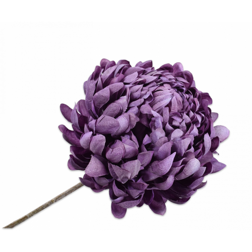 Buy Silk Chrysanthemum Stem Lavender 60cm wholesale at All InSeason. Same day pack-out on weekdays, Australia wide delivery, hundreds of 5 star reviews