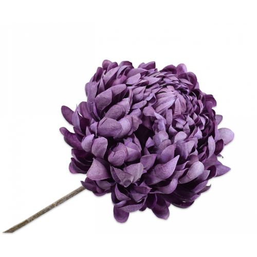 Silk Chrysanthemum Stem Lavender 60cm - 15cm flowers for all occasions.