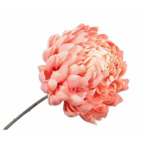 Buy Silk Chrysanthemum Stem Peach 60cm wholesale at All InSeason. Same day pack-out on weekdays, Australia wide delivery, hundreds of 5 star reviews