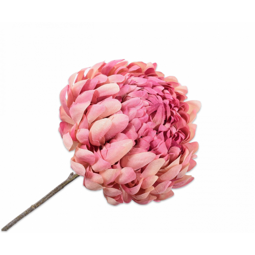 Buy Silk Chrysanthemum Stem Pink 60cm wholesale at All InSeason. Same day pack-out on weekdays, Australia wide delivery, hundreds of 5 star reviews
