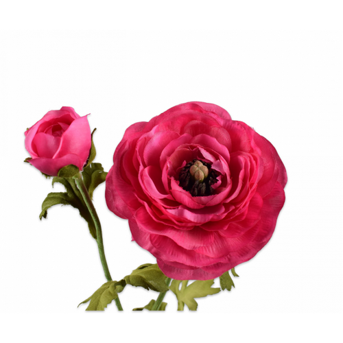 Buy Silk Ranunculus Stem Hot Pink 60cm wholesale at All InSeason. Same day pack-out on weekdays, Australia wide delivery, hundreds of 5 star reviews