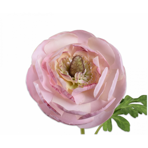 Buy Silk Ranunculus Stem Pink 45cm wholesale at All InSeason. Same day pack-out on weekdays, Australia wide delivery, hundreds of 5 star reviews