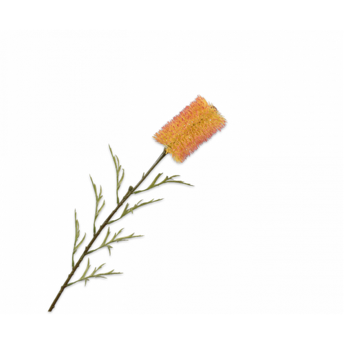 Buy Silk Protea Banksia Stem Yellow Red 70cm wholesale at All InSeason. Same day pack-out on weekdays, Australia wide delivery, hundreds of 5 star reviews