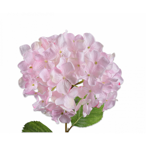 Buy Silk Hydrangea Stem Pink 65cm wholesale at All InSeason. Same day pack-out on weekdays, Australia wide delivery, hundreds of 5 star reviews