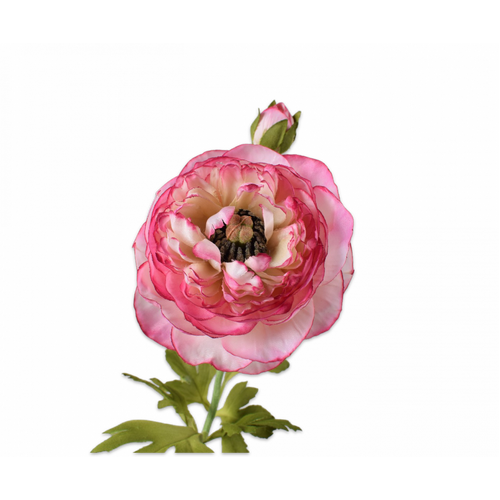 Buy Silk Ranunculus Spray Pink 65cm wholesale at All InSeason. Same day pack-out on weekdays, Australia wide delivery, hundreds of 5 star reviews