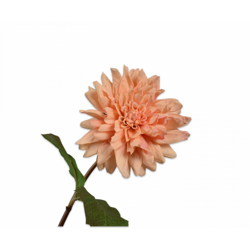 Buy Silk REAL TOUCH Dahlia Stem Peach 50cm wholesale at All InSeason. Same day pack-out on weekdays, Australia wide delivery, hundreds of 5 star reviews