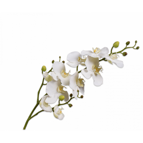 Buy Silk Phalaenopsis spray white 85cm wholesale at All InSeason. Same day pack-out on weekdays, Australia wide delivery, hundreds of 5 star reviews