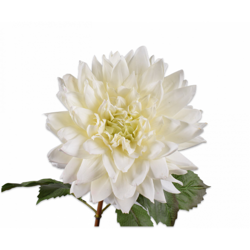 Buy Silk REAL TOUCH Dahlia Stem White 70cm wholesale at All InSeason. Same day pack-out on weekdays, Australia wide delivery, hundreds of 5 star reviews