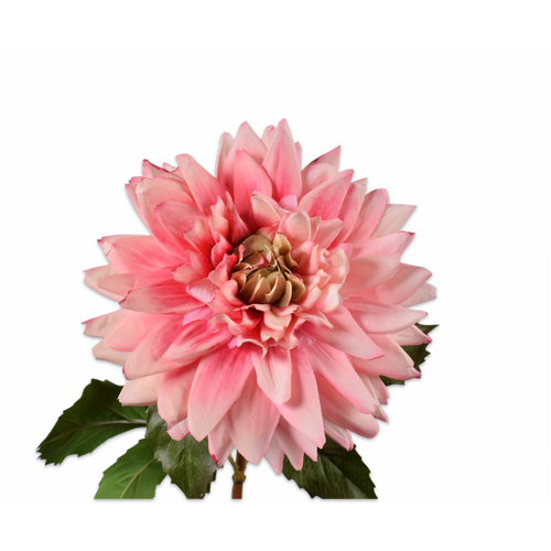 Buy Silk REAL TOUCH Dahlia Stem Pink 70cm wholesale at All InSeason. Same day pack-out on weekdays, Australia wide delivery, hundreds of 5 star reviews
