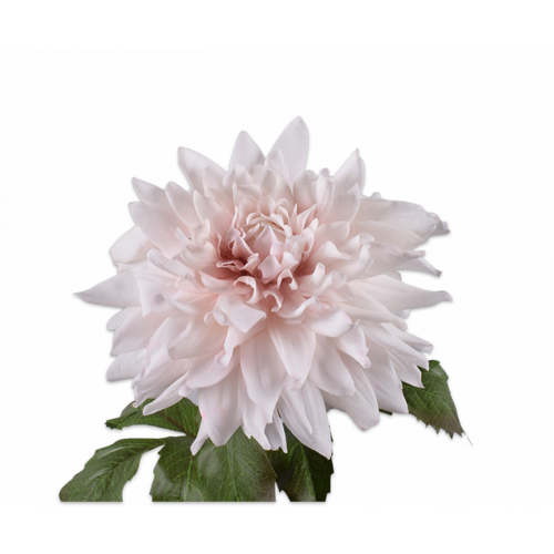 Buy Silk REAL TOUCH Dahlia Stem Blush Pink 70cm wholesale at All InSeason. Same day pack-out on weekdays, Australia wide delivery, hundreds of 5 star reviews