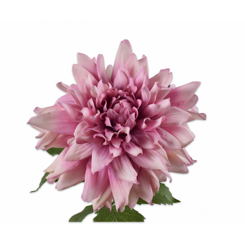 Buy Silk REAL TOUCH Dahlia Stem Lavender 70cm wholesale at All InSeason. Same day pack-out on weekdays, Australia wide delivery, hundreds of 5 star reviews