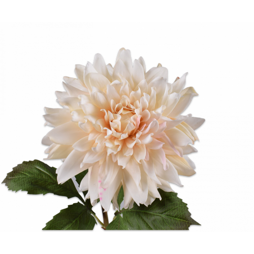 Buy Silk REAL TOUCH Dahlia Stem Cream 70cm wholesale at All InSeason. Same day pack-out on weekdays, Australia wide delivery, hundreds of 5 star reviews