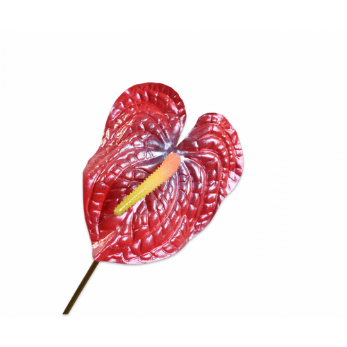 Buy Silk Anthurium Red 65cm wholesale at All InSeason. Same day pack-out on weekdays, Australia wide delivery, hundreds of 5 star reviews