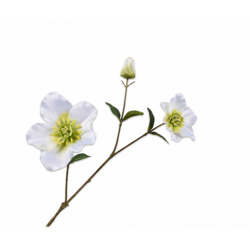Buy Silk Helleborus Spray Cream 70cm wholesale at All InSeason. Same day pack-out on weekdays, Australia wide delivery, hundreds of 5 star reviews