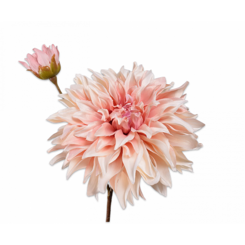 Buy Silk Dahlia Spray Peach 75cm wholesale at All InSeason. Same day pack-out on weekdays, Australia wide delivery, hundreds of 5 star reviews
