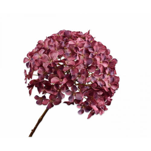 Buy Silk Hydrangea Stem Dark Pink 65cm wholesale at All InSeason. Same day pack-out on weekdays, Australia wide delivery, hundreds of 5 star reviews
