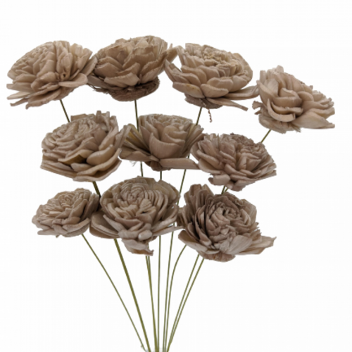 Buy Dried Flower Wholesale Handcraft Sola Rose Small, Champagne - by All In Season