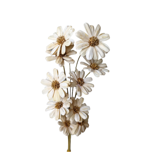 A floral bunch of Sola Margaret Flowers Cream Flowers