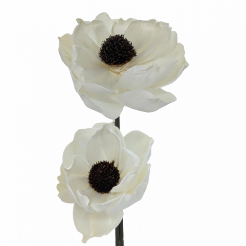 Buy Dried Flower Wholesale Handcraft Sola Peony, ± 55cm, diameter Approx. 9cm, White - by All In Season
